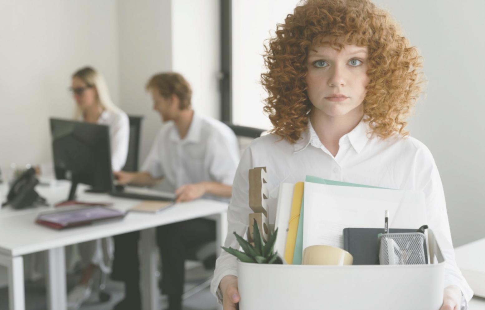 Material educativo y herramientas de presupuesto utilizadas en loranivarexo